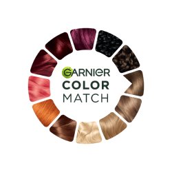 Logo color match