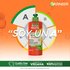 Fructis BDD Largo Perfecto CPP 10en1 PIL