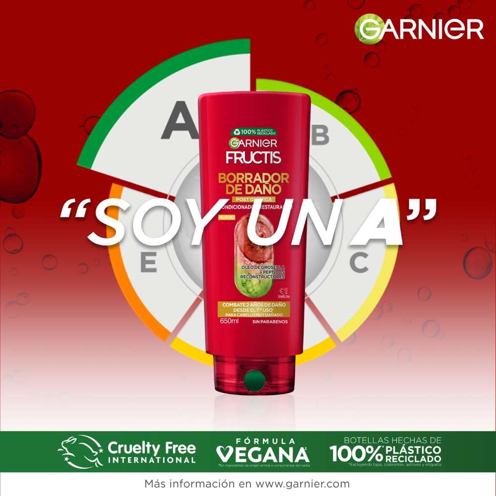 Fructis BDD Post Química ACO  PIL