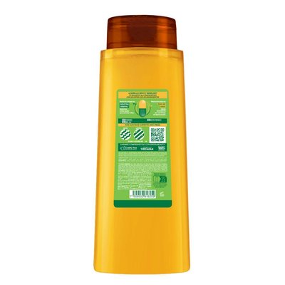 Fructis Liso Coco SH 2en1 back