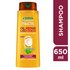Fructis Liso Coco SH