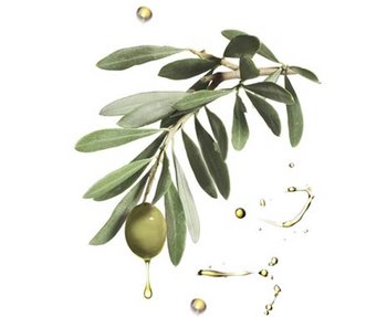 Olive2