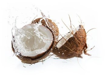 coconut 1