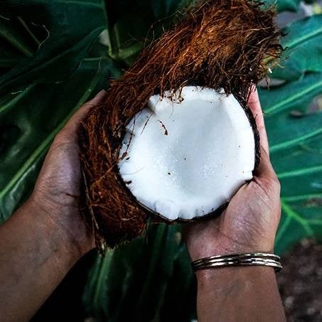 coconut