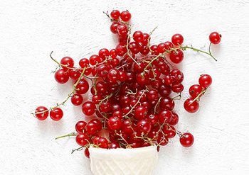 465x328px grosella 2