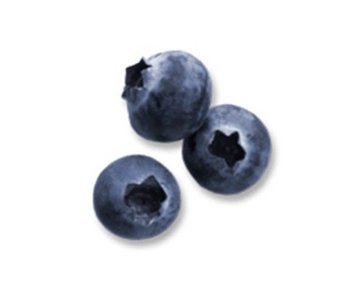 Blueberry 1