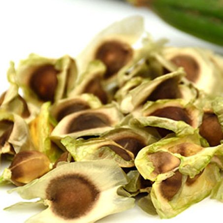 moringa