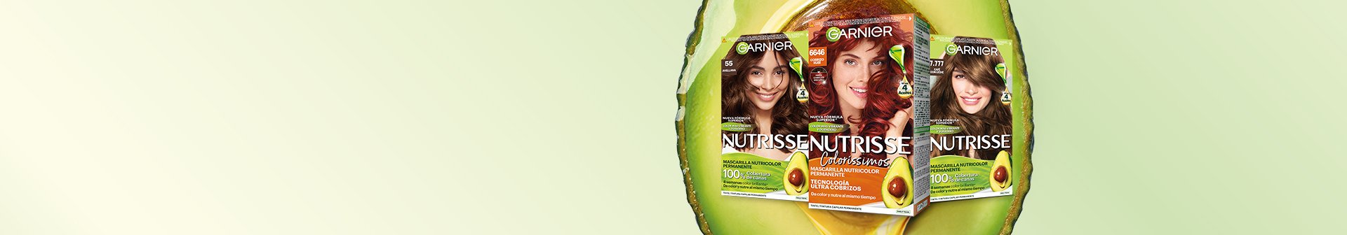 HEADER 04 TENDENCIAS TINTES 2025 1920X336PX