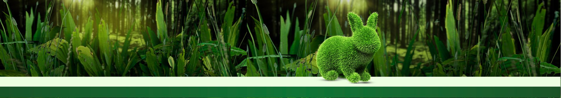 HEADER ART50 1920x336