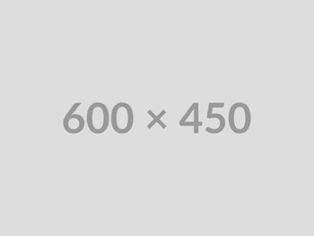 600x450