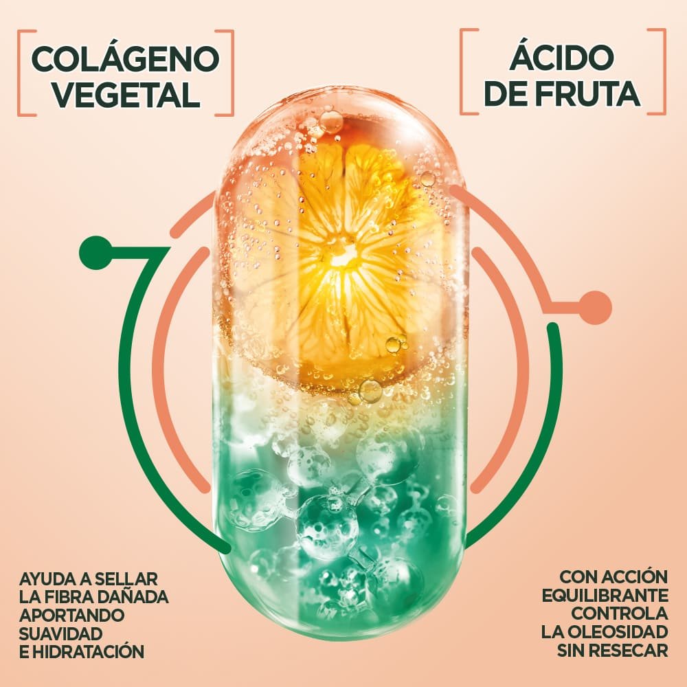 Ingredientes de Fructis Borrador de Daño