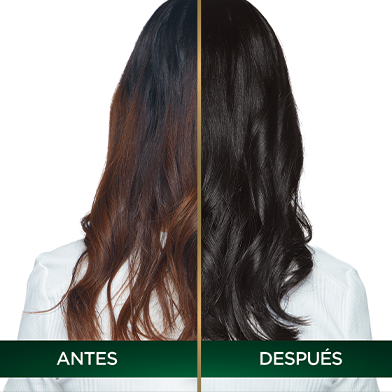 Garnier Nutrisse Oleos coloración sin amoniaco  TIP PARA EMPAREJAR EL TONO DE TU 