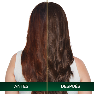 Garnier Nutrisse Oleos coloración sin amoniaco TIP PARA OSCURECER TU PELO