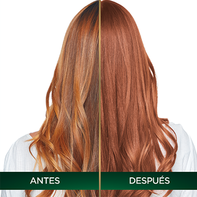 Garnier Nutrisse Oleos coloración sin amoniaco  TIP PARA REFRESCAR TU COLOR
