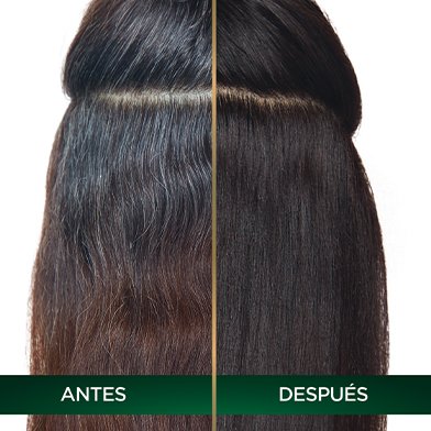 Garnier Nutrisse Oleos coloración sin amoniaco  TIP PARA CUBRIR CANAS
