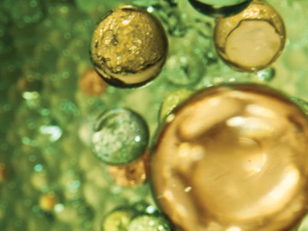 NUTRISSE OLEOS COLORACIÓN SIN AMONIACO DESCUBRE LA CIENCIA