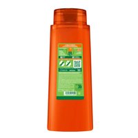 Fructis BDD Largo Perfecto SH 2en1 back