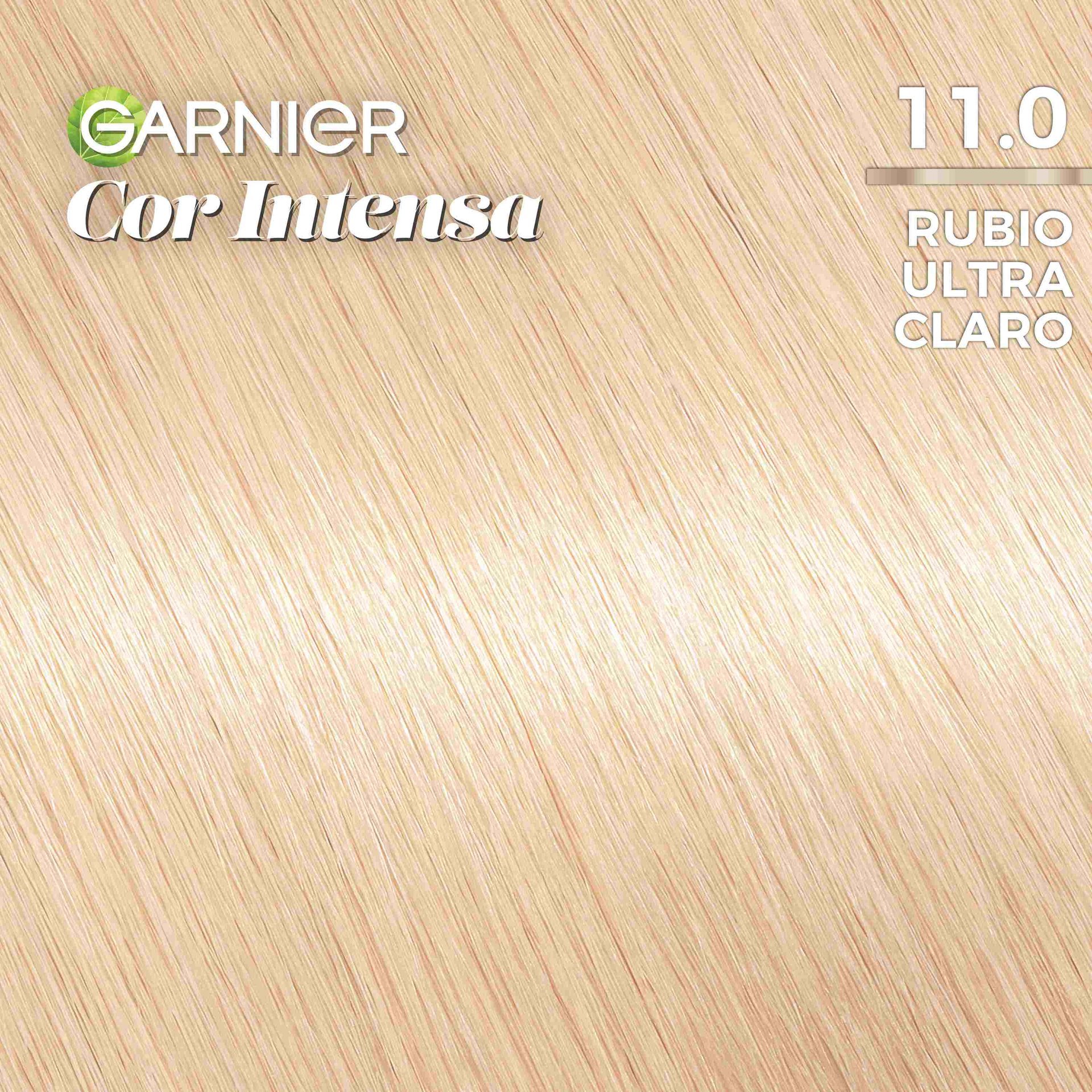 COR INTENSA 11 compressed (1)