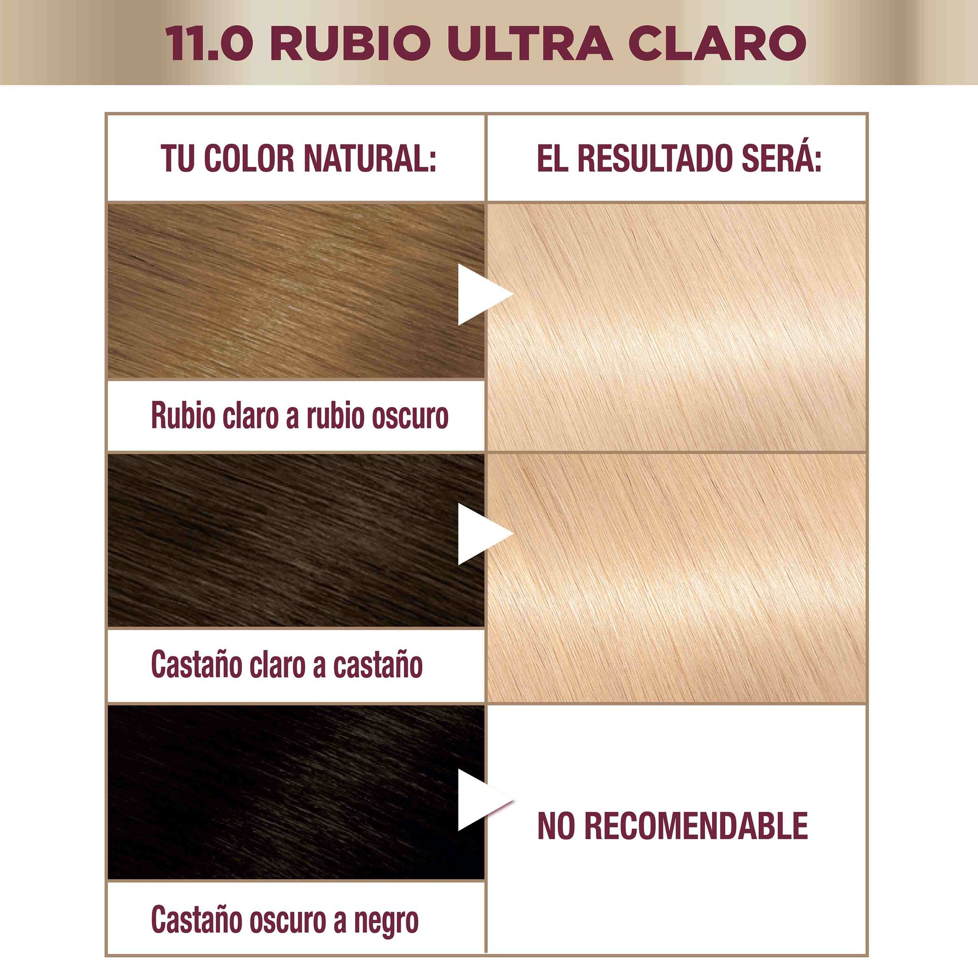 COR INTENSA 11 compressed (2)