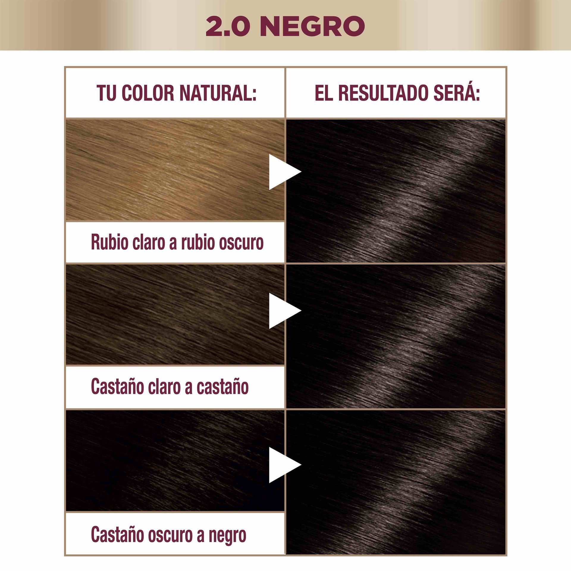 COR INTENSA 2 compressed (2)