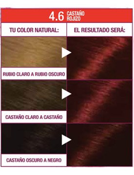 cabello castaño rojizo oscuro garnier