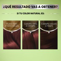 GARNIER, GARNIER COLORACIÓN, GARNIER NUTRISSE, NUTRISSE COLORÍSSIMOS, NUTRISSE COLORACIÓN, NUTRISSE RESULTADOS, NUTRISSE TINTES DE CABELLO, TONOS DE TINTE, TINTE EN CASA, COLORACIÓN DE CABELLO