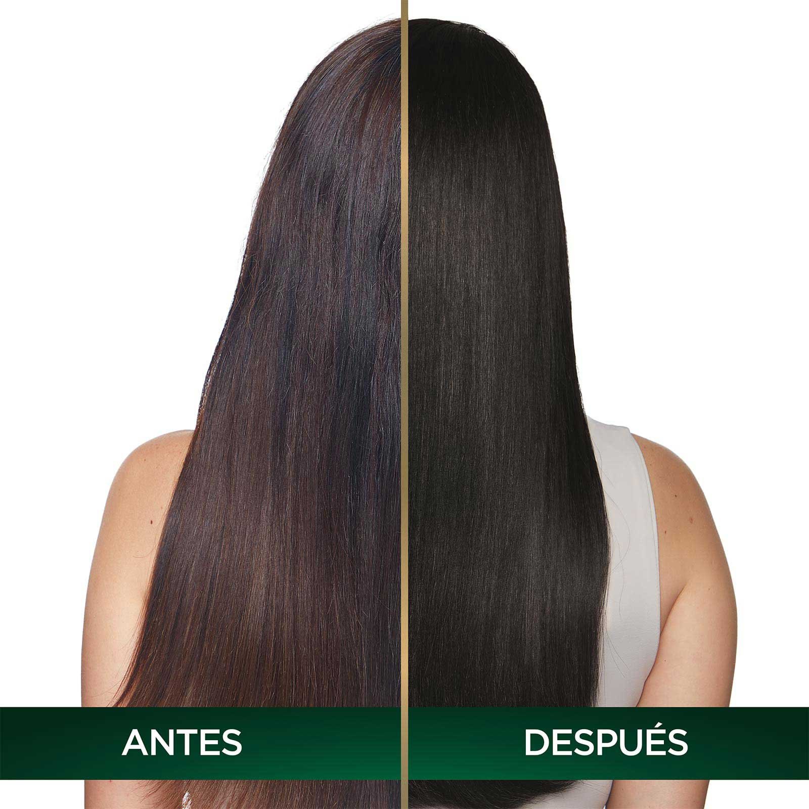 COLORACIÓN SIN AMONIACO NUTRISSE OLEOS TONO 4.0 CASTAÑO  ANTES Y DESPUES