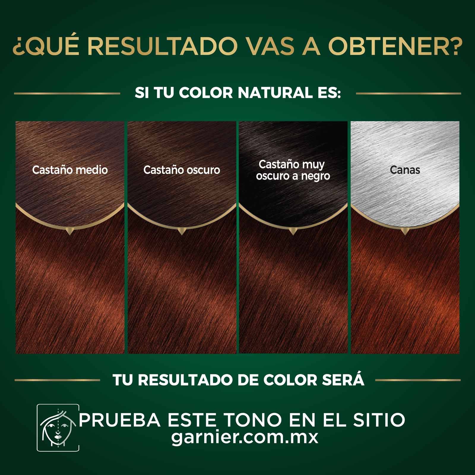 COLORACIÓN SIN AMONIACO NUTRISSE OLEOS TONO 5.5 CASTAÑO CLARO CAOBA  RESULTADOS A OBTENER