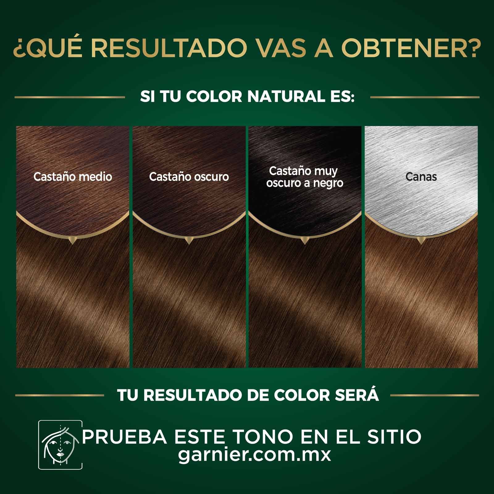 COLORACIÓN SIN AMONIACO NUTRISSE OLEOS TONO 5.31 CASTAÑO DORADO CENIZO  RESULTADOS A OBTENER