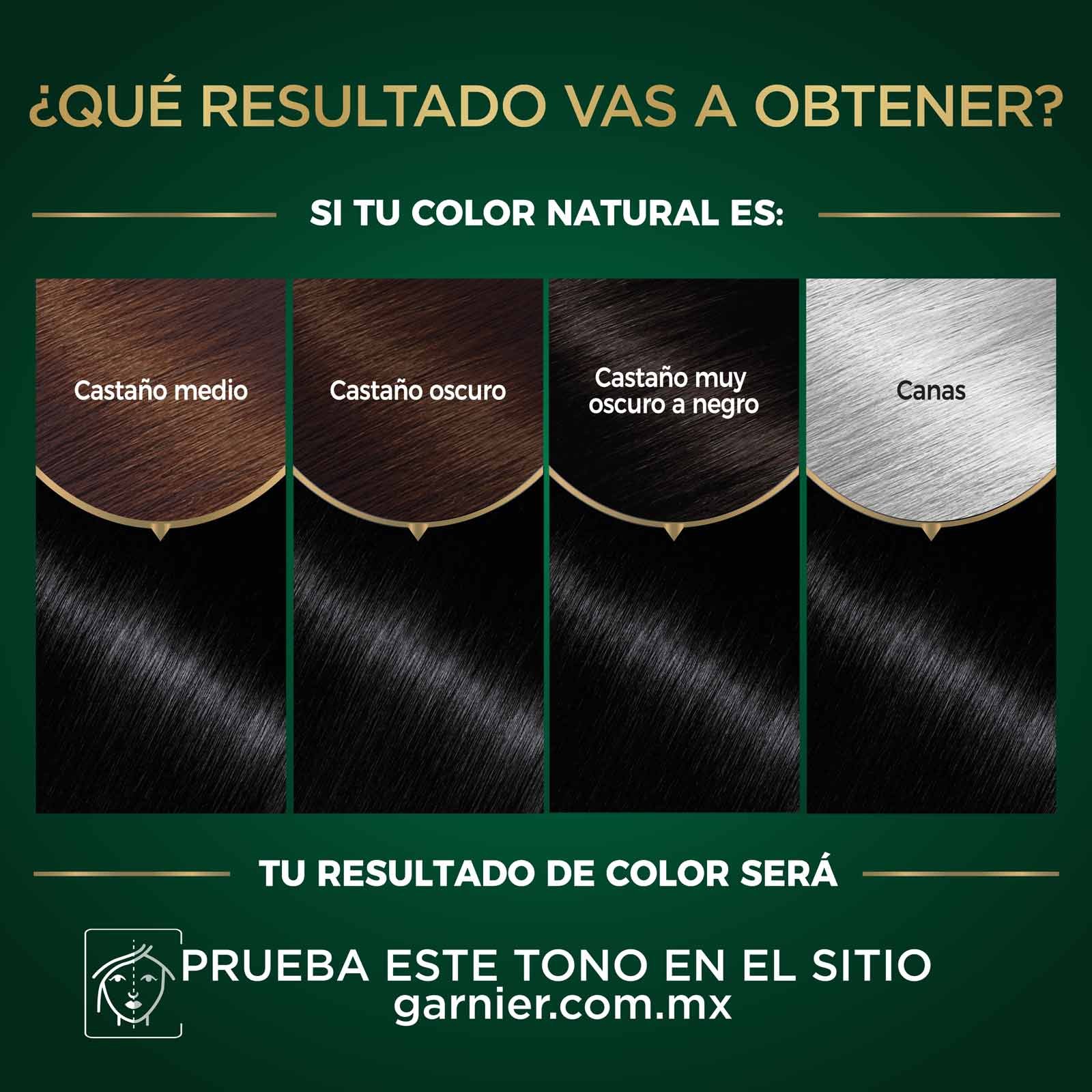 COLORACIÓN SIN AMONIACO NUTRISSE OLEOS TONO 1.0 NEGRO RESULTADOS A OBTENER