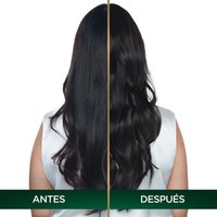 COLORACIÓN SIN AMONIACO NUTRISSE OLEOS TONO 1.0 NEGRO  ANTES Y DESPUES