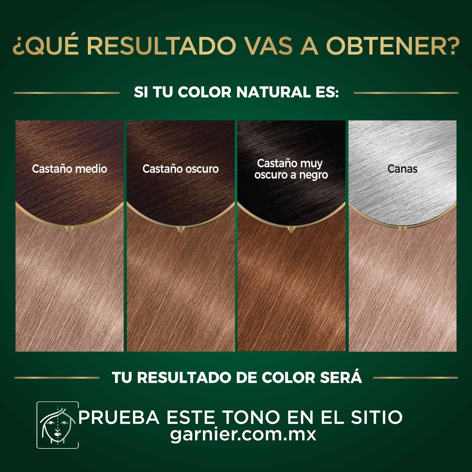 COLORACIÓN SIN AMONIACO NUTRISSE OLEOS TONO 8.12 RUBIO CLARO PLATINADO RESULTADOS A OBTENER