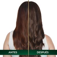 COLORACIÓN SIN AMONIACO NUTRISSE OLEOS TONO 6.0 RUBIO OSCURO ANTES Y DESPUES