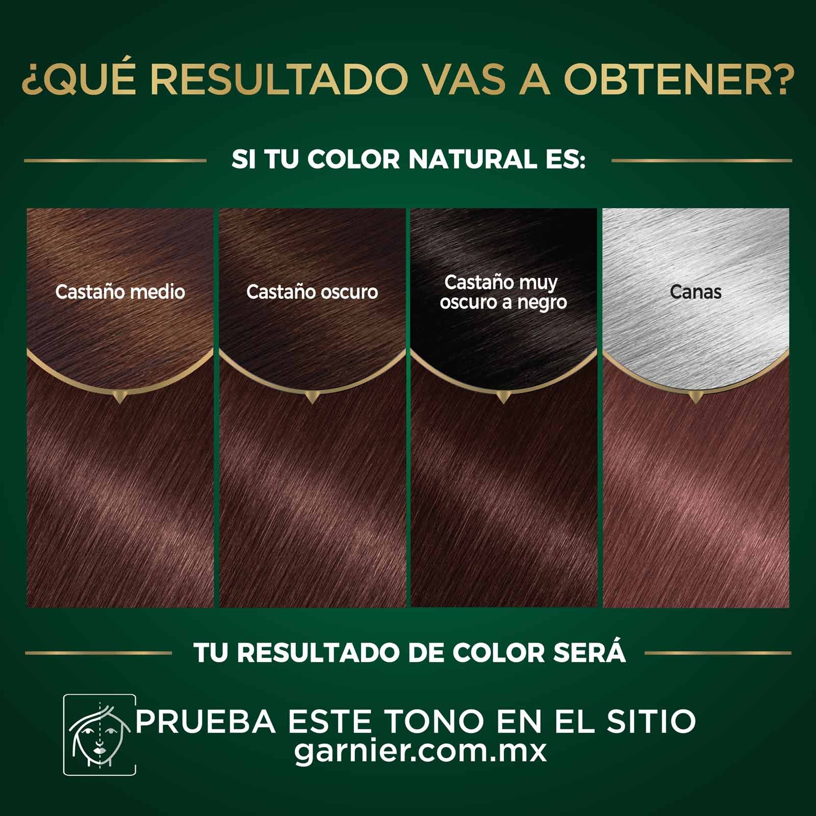 COLORACIÓN SIN AMONIACO NUTRISSE OLEOS TONO 6.21 RUBIO OSCURO CENIZO RESULTADOS A OBTENER