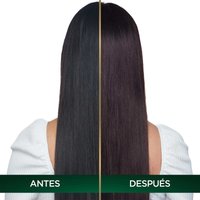 COLORACIÓN SIN AMONIACO NUTRISSE OLEOS TONO 6.21 RUBIO OSCURO CENIZO ANTES Y DESPUES