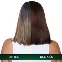 COLORACIÓN SIN AMONIACO NUTRISSE OLEOS TONO 6.7 RUBIO OSCURO CHOCOLATE ANTES Y DESPUES
