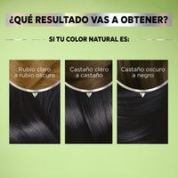 GARNIER, GARNIER COLORACIÓN, GARNIER NUTRISSE, NUTRISSE REGULAR, NUTRISSE COLORACIÓN, NUTRISSE RESULTADOS, NUTRISSE TINTES DE CABELLO, TONOS DE TINTE, TINTE EN CASA, COLORACIÓN DE CABELLO