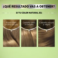 GARNIER, GARNIER COLORACIÓN, GARNIER NUTRISSE, NUTRISSE REGULAR, NUTRISSE COLORACIÓN, NUTRISSE RESULTADOS, NUTRISSE TINTES DE CABELLO, TONOS DE TINTE, TINTE EN CASA, COLORACIÓN DE CABELLO