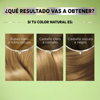 GARNIER, GARNIER COLORACIÓN, GARNIER NUTRISSE, NUTRISSE REGULAR, NUTRISSE COLORACIÓN, NUTRISSE RESULTADOS, NUTRISSE TINTES DE CABELLO, TONOS DE TINTE, TINTE EN CASA, COLORACIÓN DE CABELLO