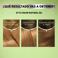 GARNIER, GARNIER COLORACIÓN, GARNIER NUTRISSE, NUTRISSE REGULAR, NUTRISSE COLORACIÓN, NUTRISSE RESULTADOS, NUTRISSE TINTES DE CABELLO, TONOS DE TINTE, TINTE EN CASA, COLORACIÓN DE CABELLO