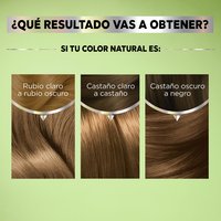 GARNIER, GARNIER COLORACIÓN, GARNIER NUTRISSE, NUTRISSE REGULAR, NUTRISSE COLORACIÓN, NUTRISSE RESULTADOS, NUTRISSE TINTES DE CABELLO, TONOS DE TINTE, TINTE EN CASA, COLORACIÓN DE CABELLO